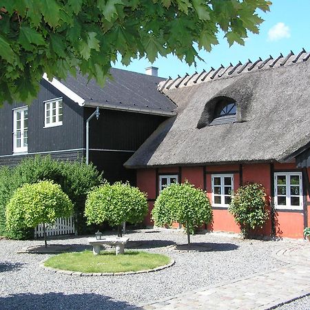 Lolland Bed & Breakfast Sollested  Exterior photo