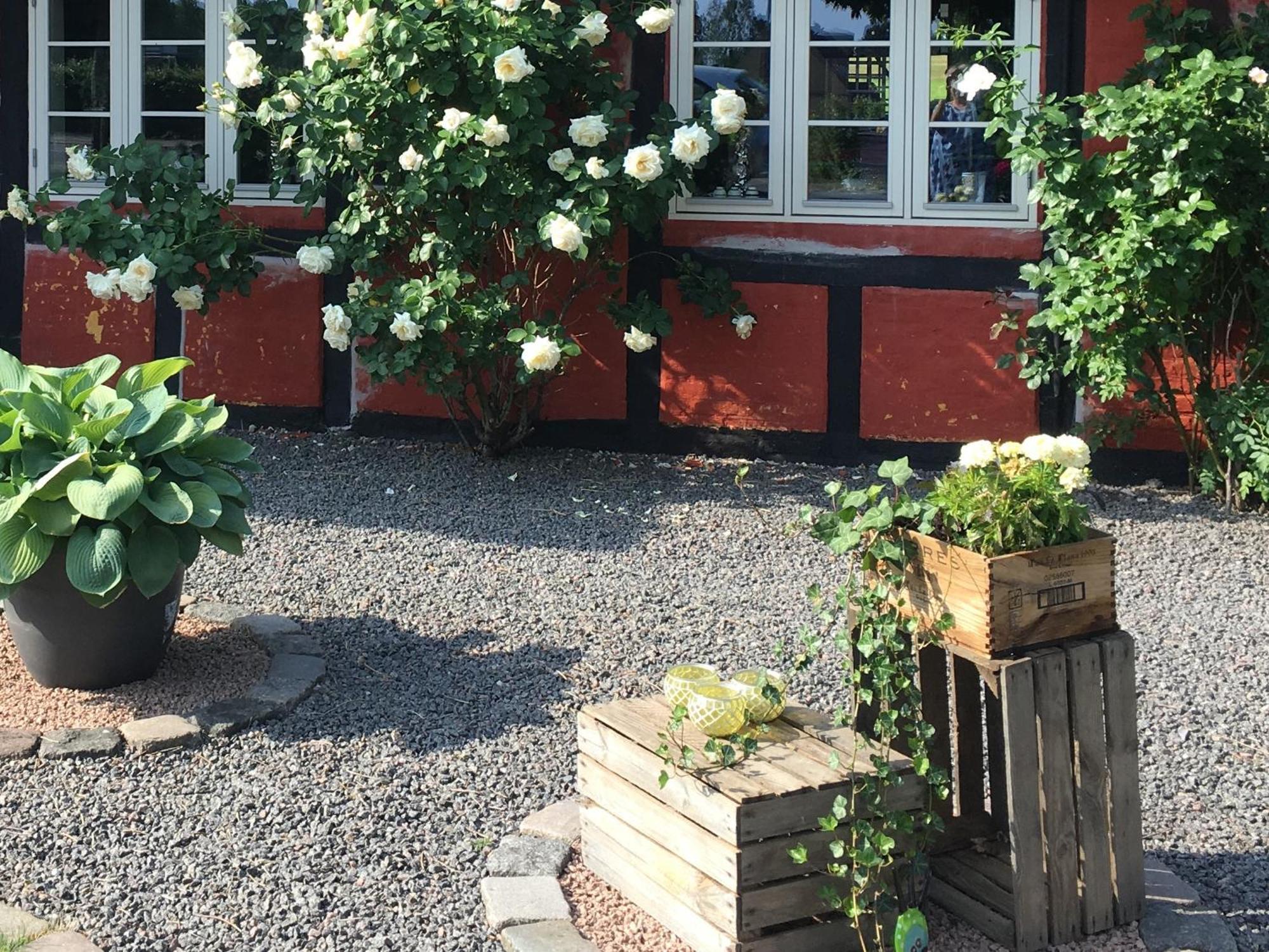 Lolland Bed & Breakfast Sollested  Exterior photo